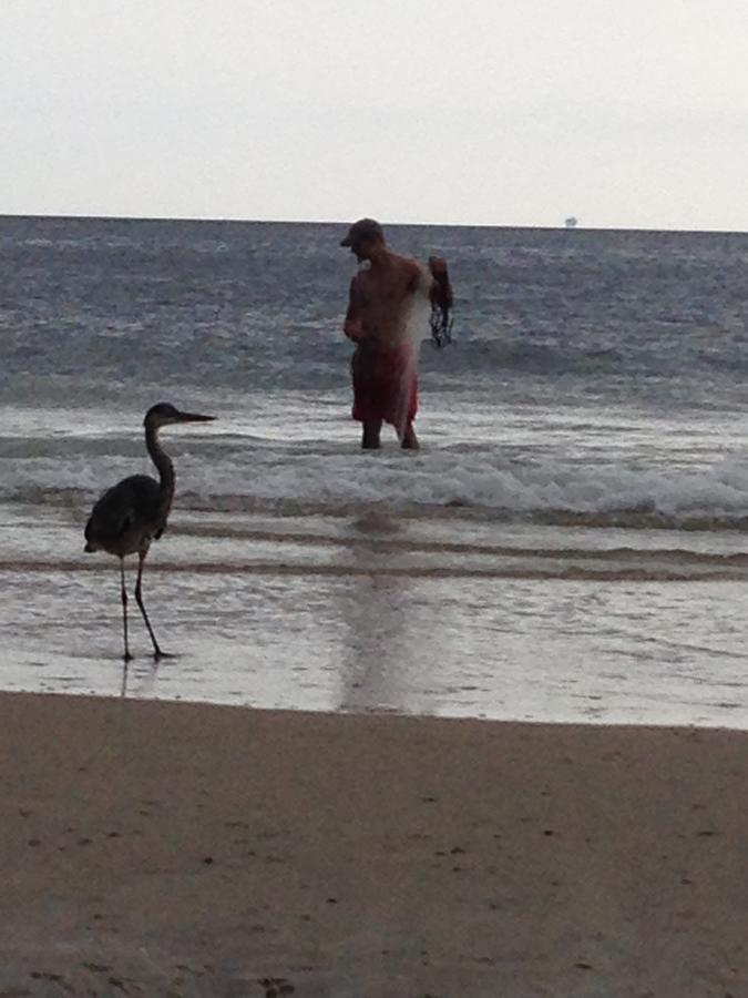 Gulf Shores Plantation 외부 사진