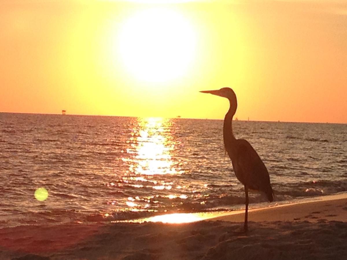 Gulf Shores Plantation 외부 사진